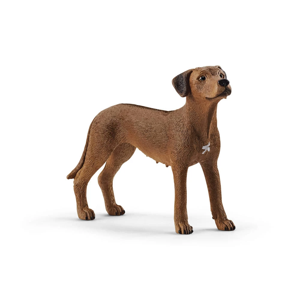 Schleich Farm World Rhodesian Ridgeback 13895 1 Schleich Farm World Rhodesian Ridgeback 13895