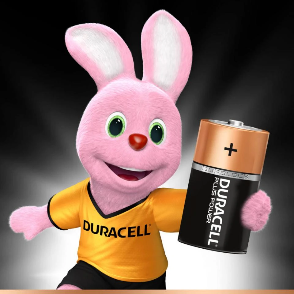 Duracell Plus Power D Alkaline Batterijen - 2 Stuks 2 Duracell Plus Power D Alkaline Batterijen - 2 Stuks - Afbeelding 2